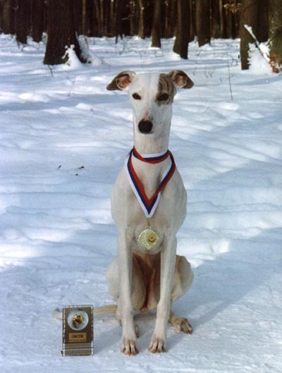 medal